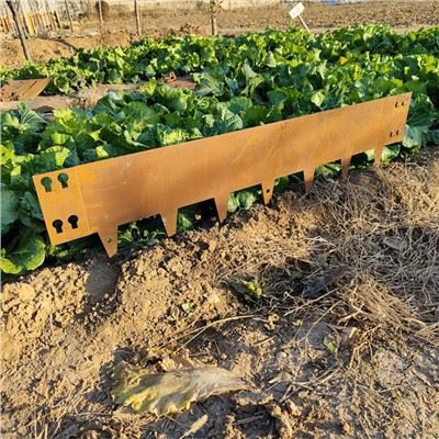 جاردن إدجين