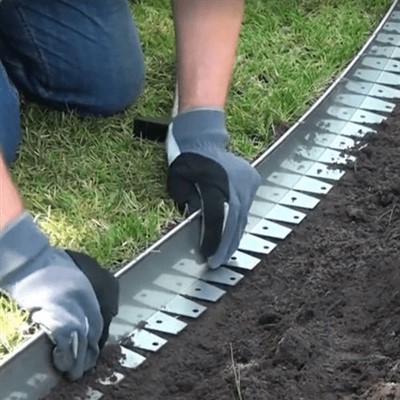 حدود الحديقة الطويلة